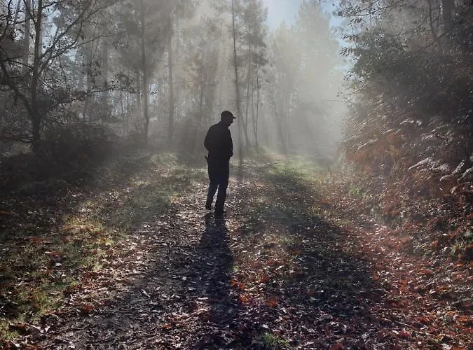 Casa Da Flor * Amarante